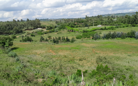 Pearl Gardens I & II (Kikuyu – Kamangu)
