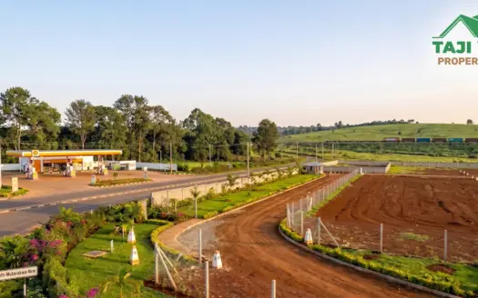 Precious Gardens – Lusigetti