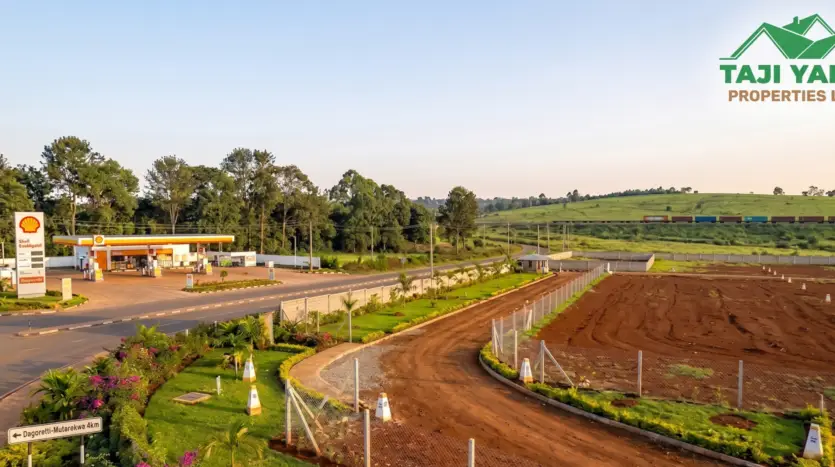 Precious Gardens – Lusigetti